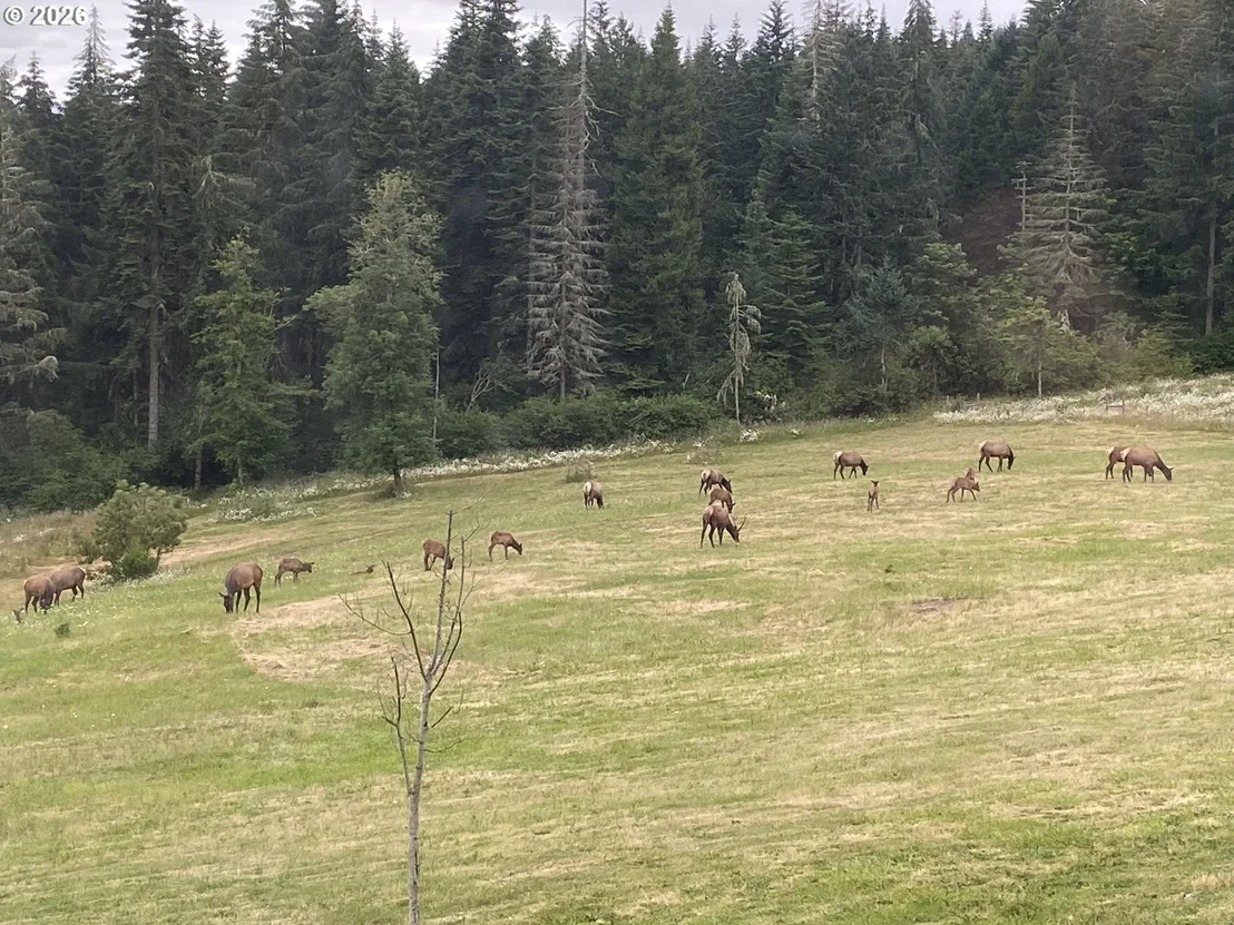 Photo of 86407 HOMESTEAD RD