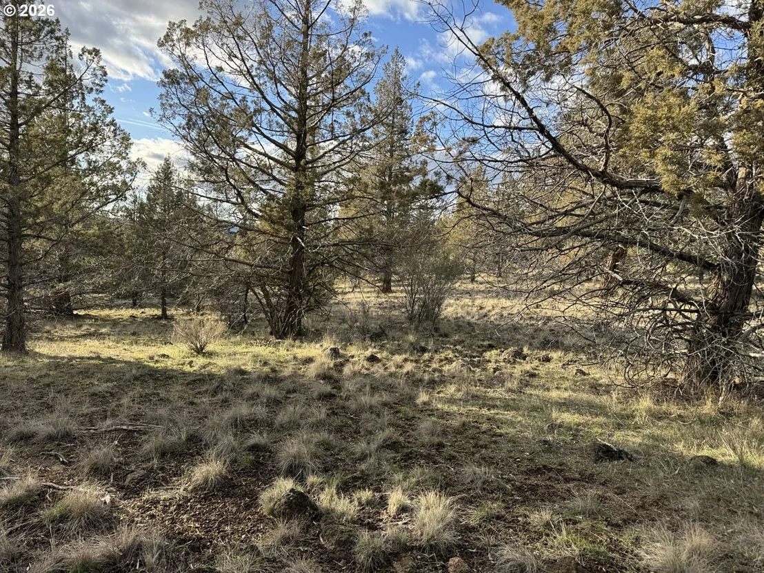 Photo of Unit 35 at Canvasback DR
