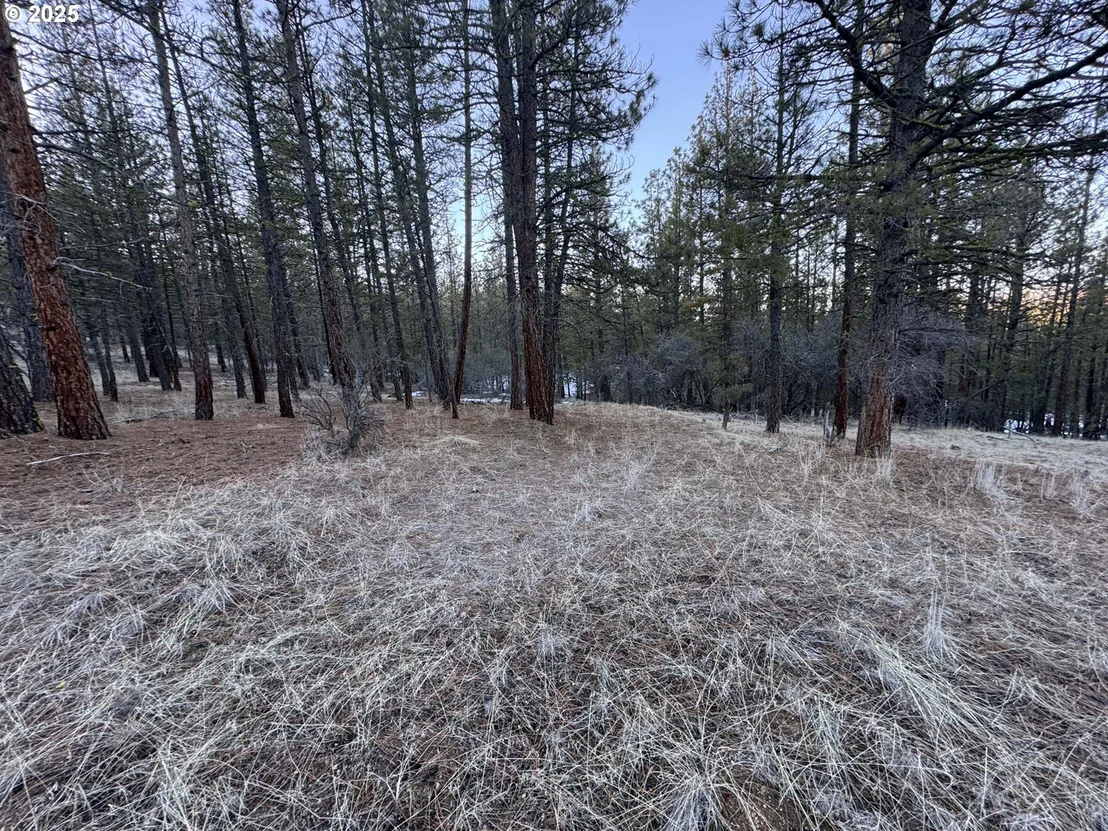 Photo of Unit LOT7 at Bobcat CIR