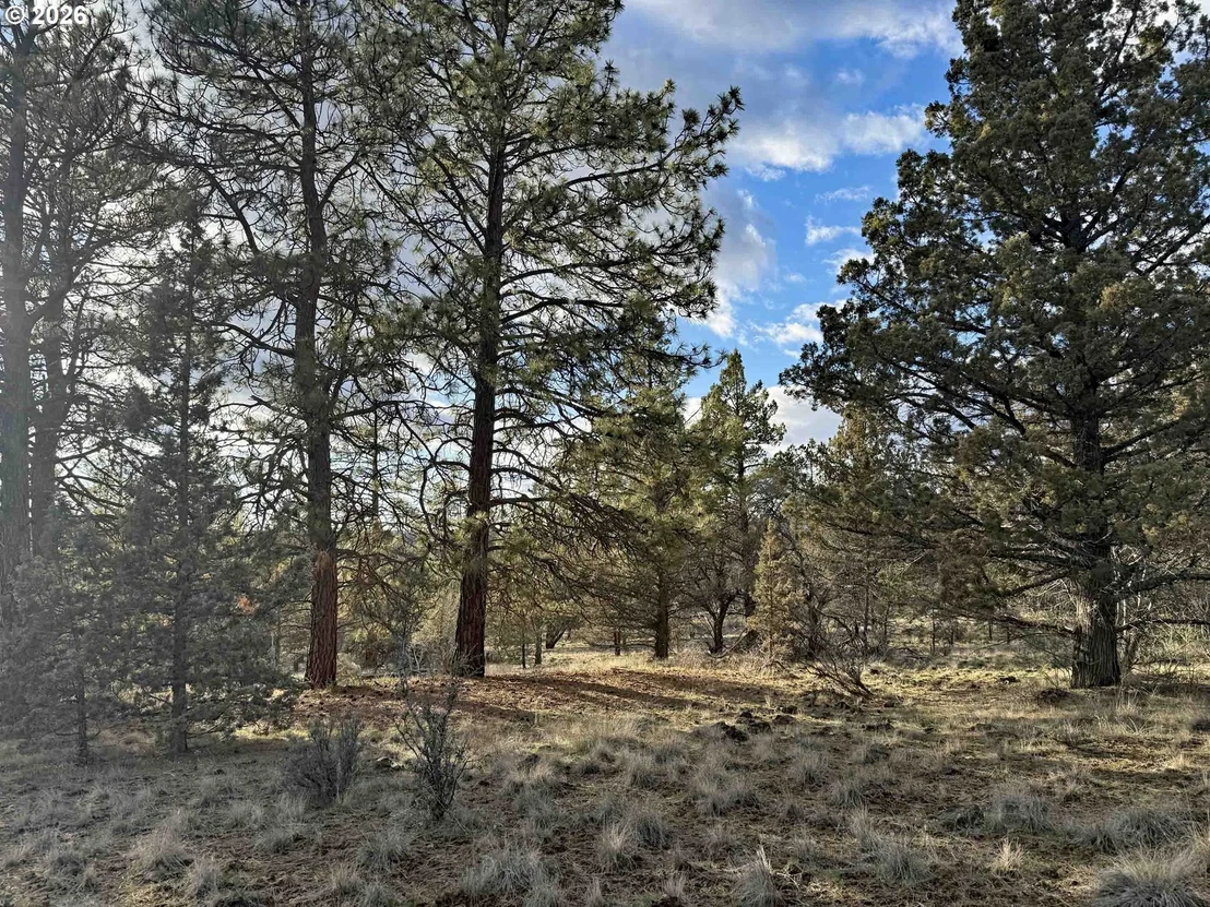 Photo of Unit 35 at Canvasback DR