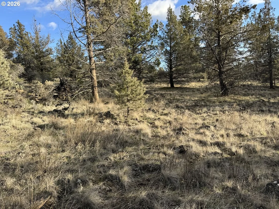 Photo of Unit 36 at Canvasback DR
