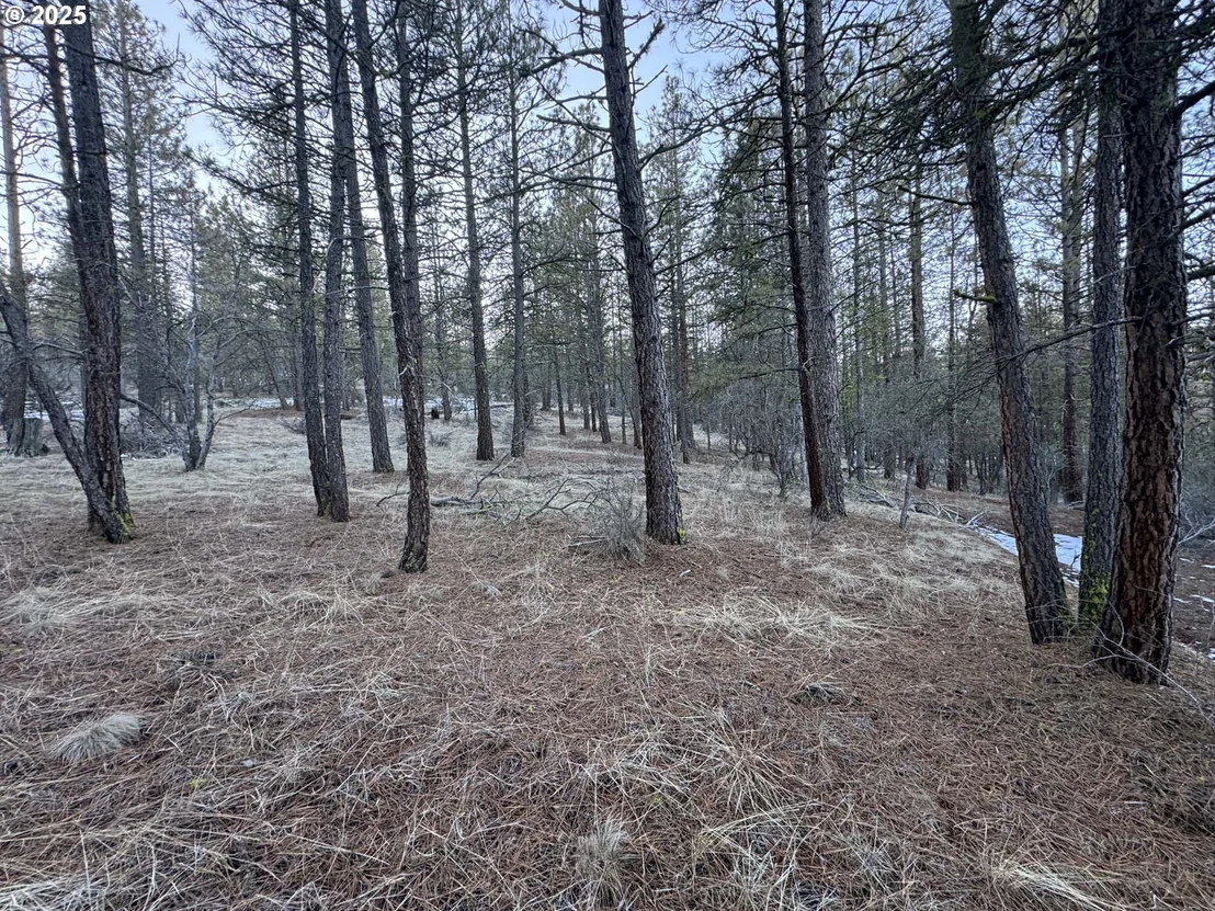 Photo of Unit LOT7 at Bobcat CIR