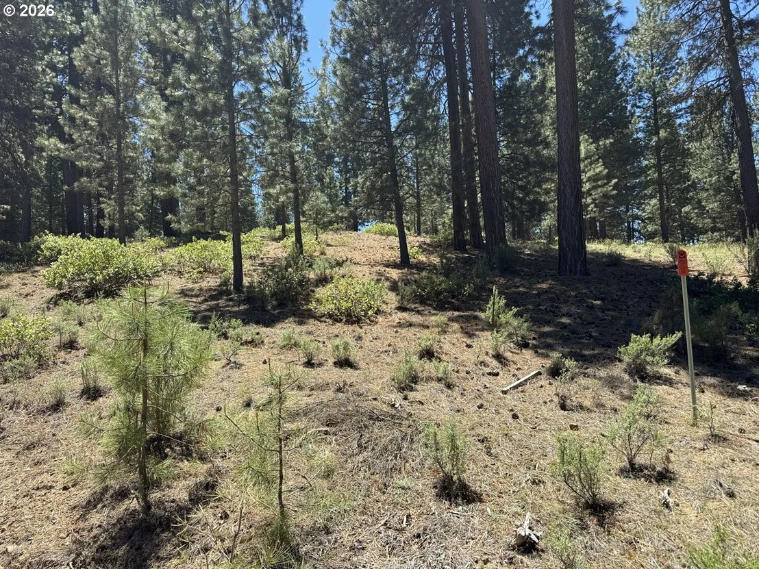 Photo of Unit 22 at Incline DR