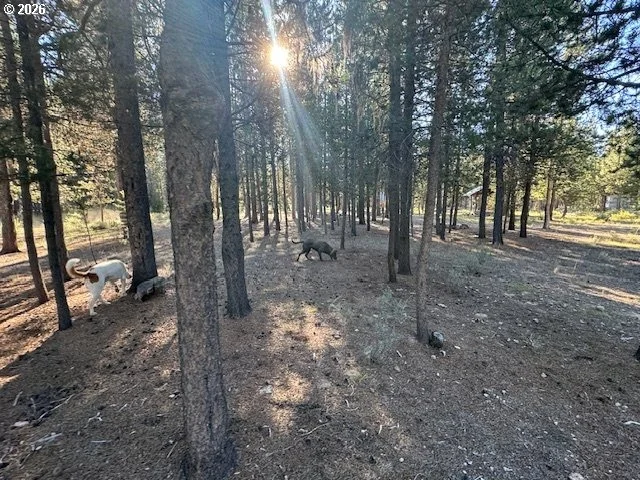 Photo of Unit 100 at Bear Flat RD