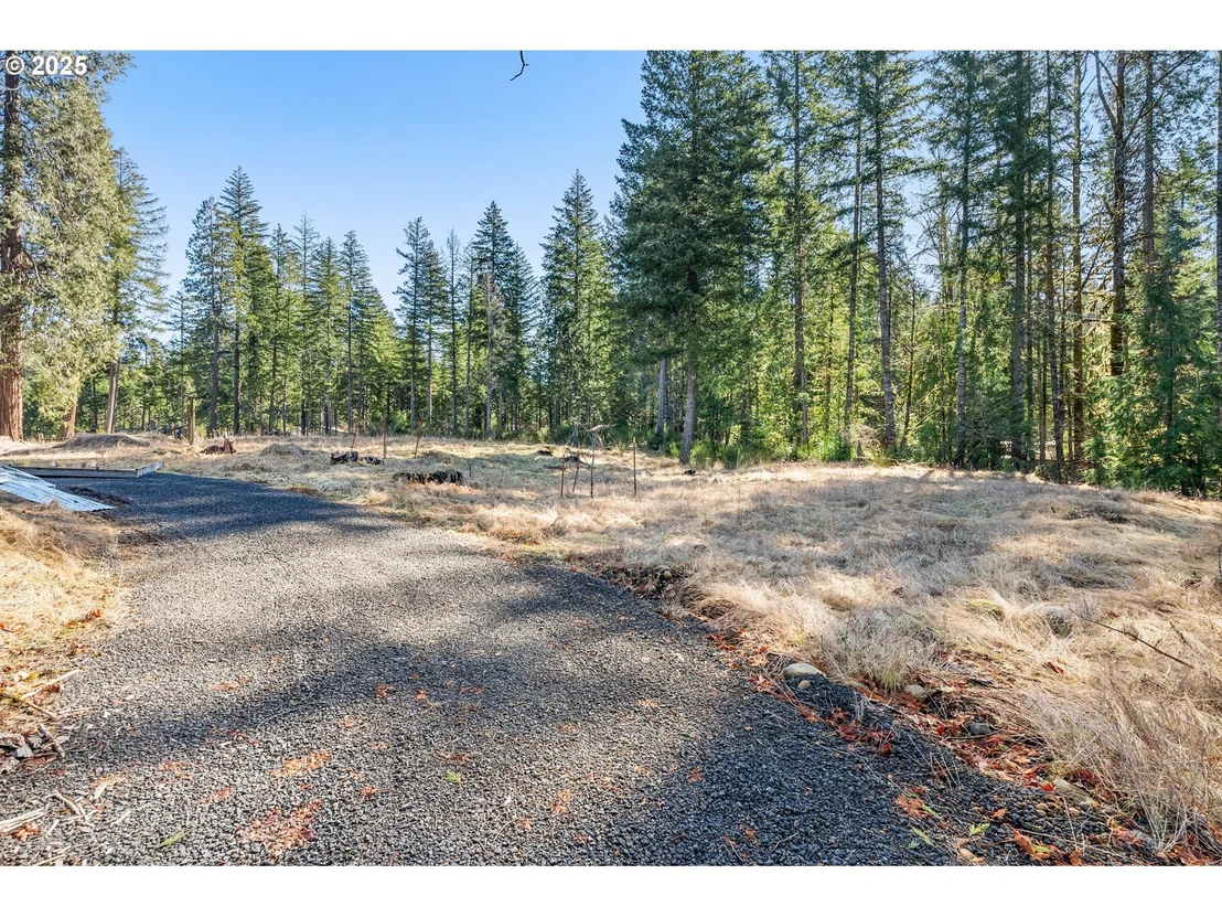 Photo of Alma DR