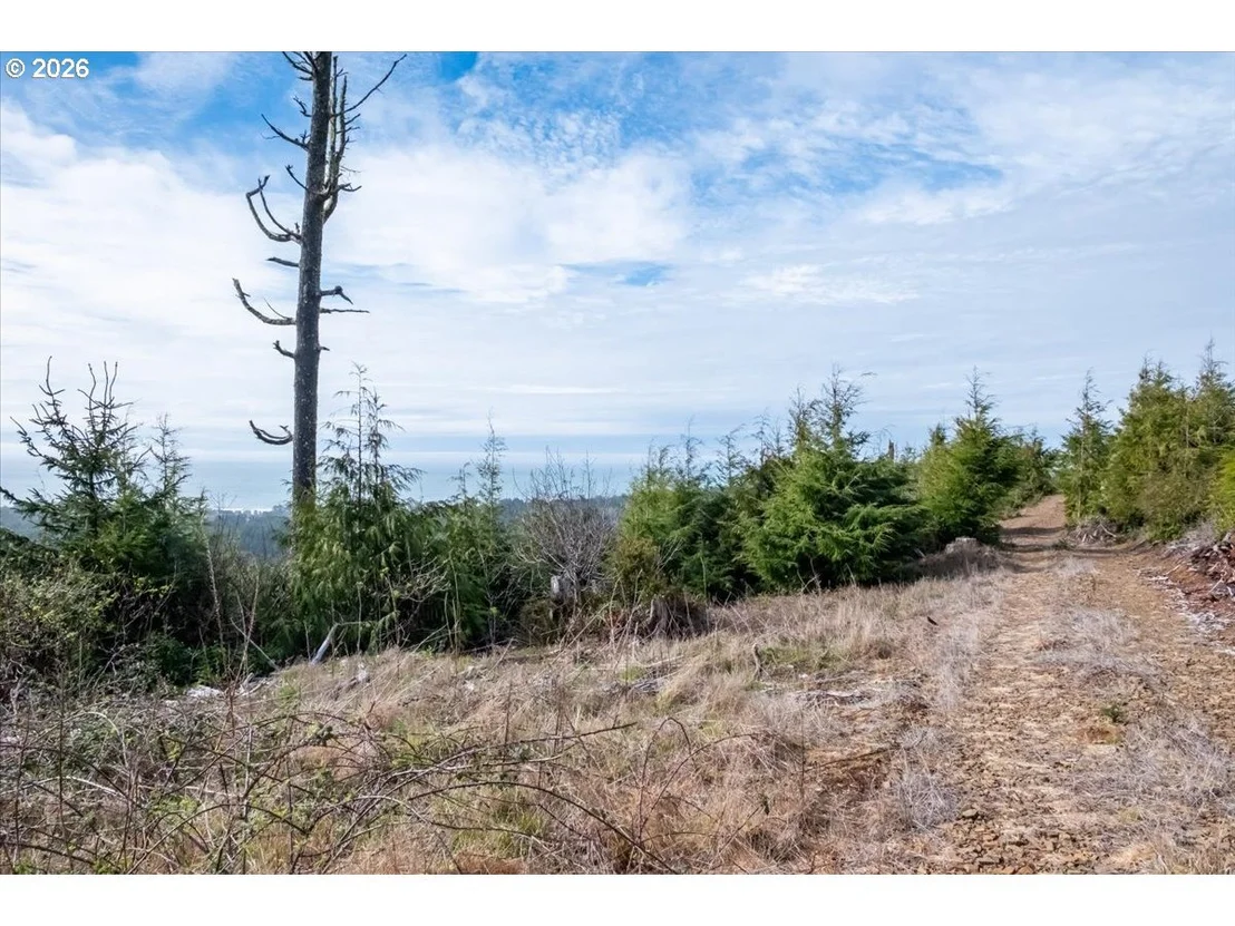 Photo of 575 Fairway DR