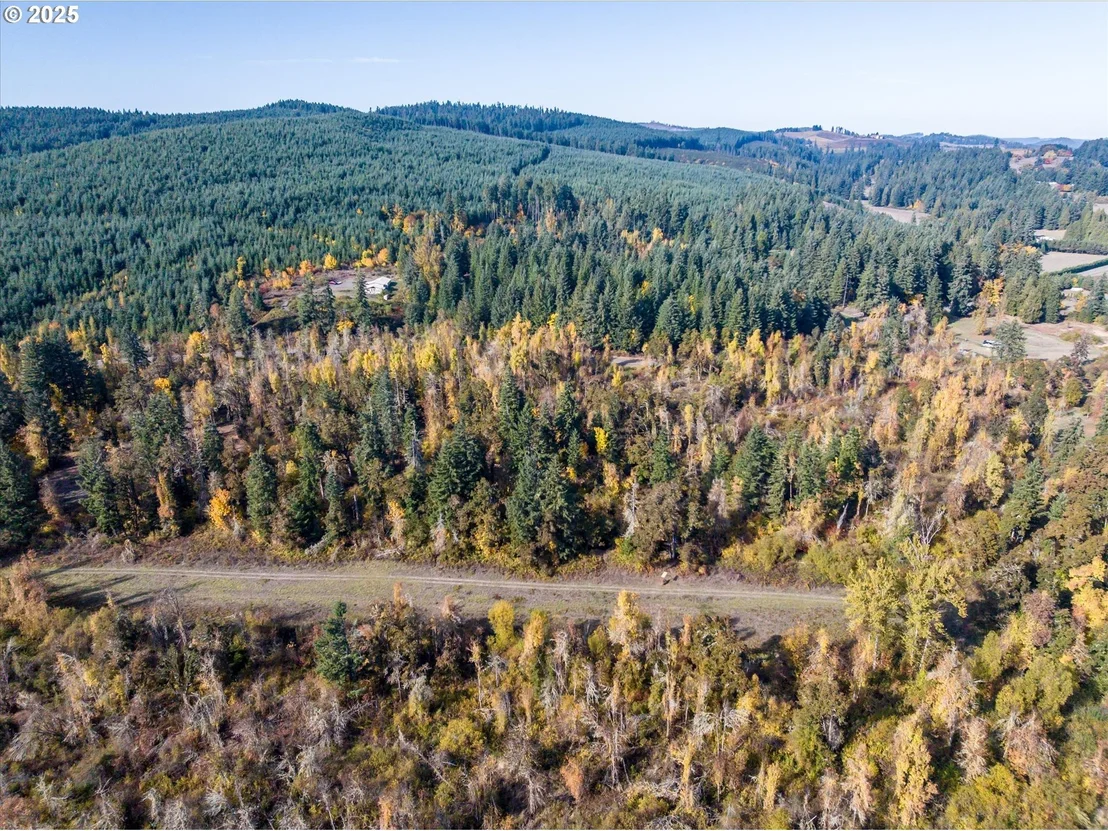 Photo of Siuslaw River RD