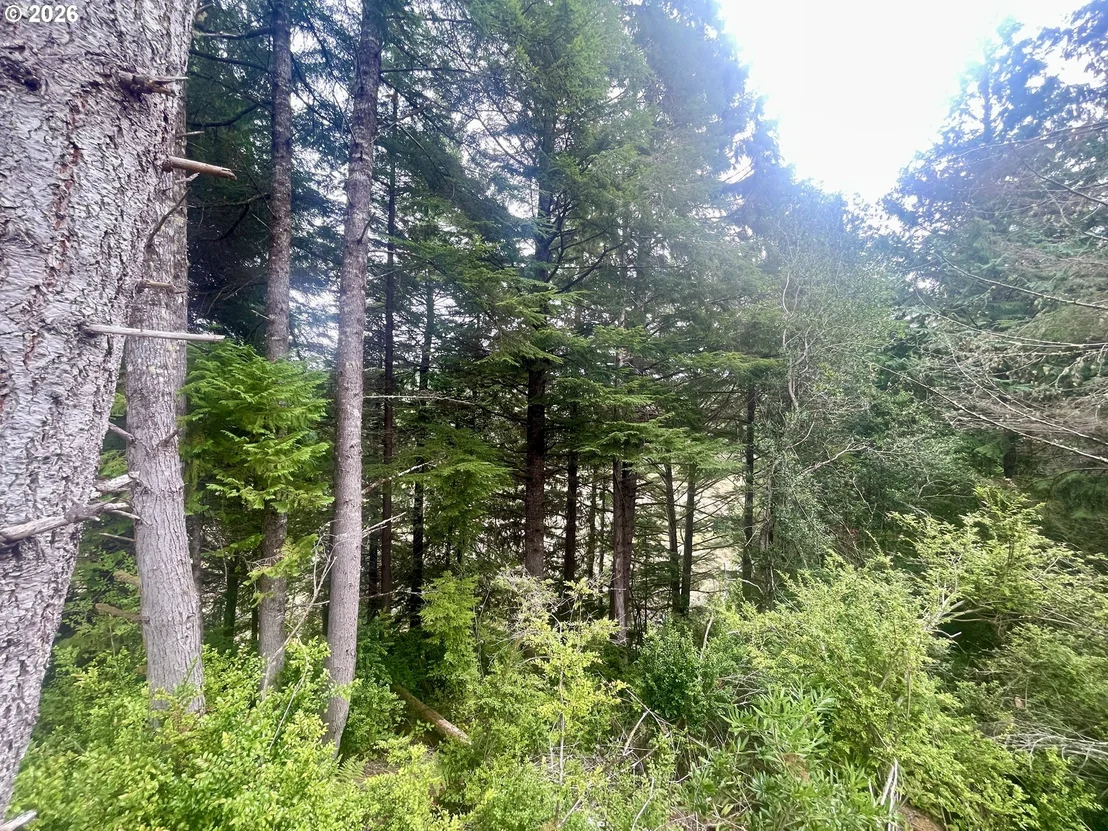 Photo of Unit LOT11 at Sandpoint RD
