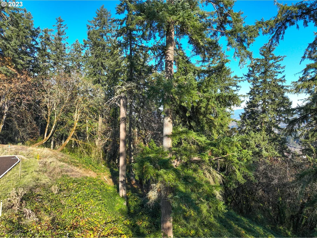 Photo of Unit 9 at 2627 Cupola DR