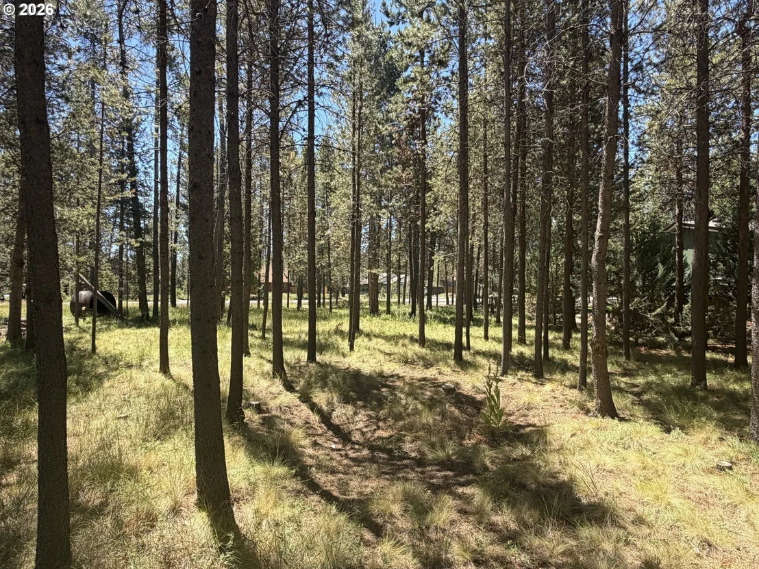 Photo of 17386 GOLDEN EYE DR