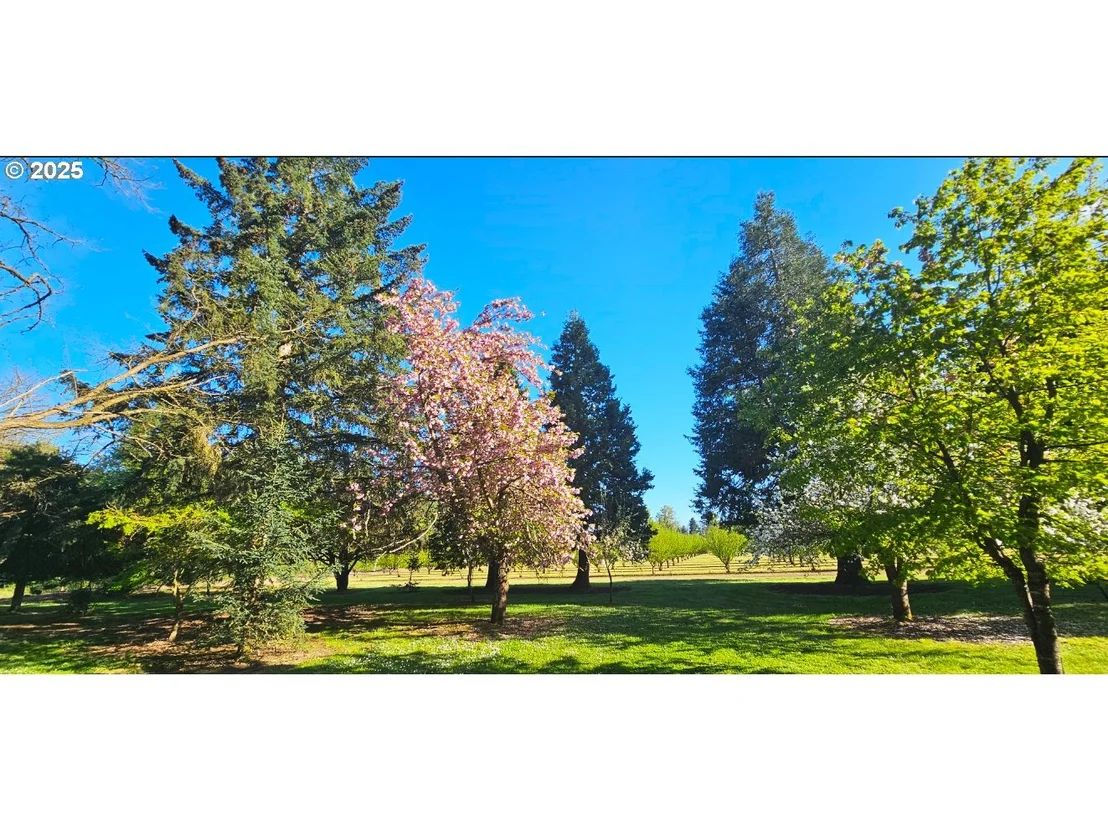 Photo of 93579 RIVER RD