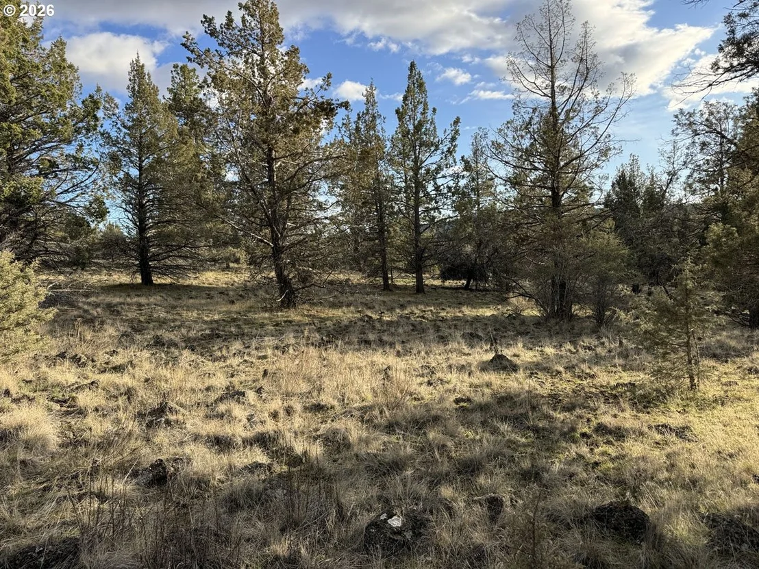 Photo of Unit 36 at Canvasback DR