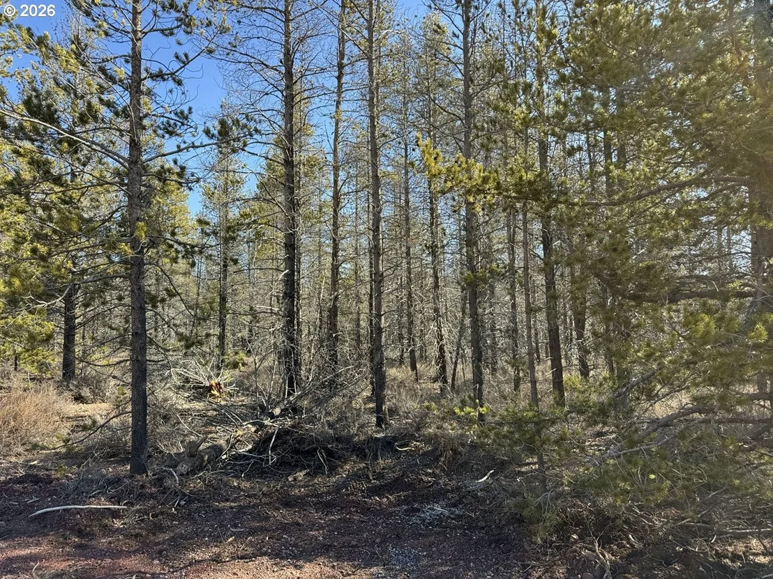 Photo of Unit 11 at Scott View Drive