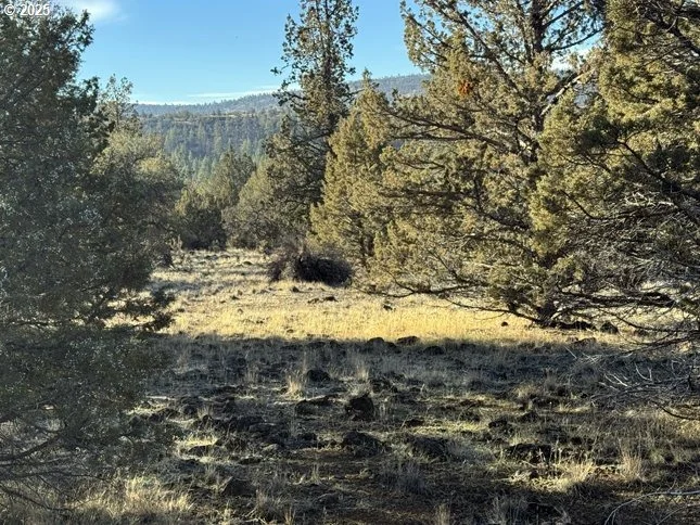 Photo of Unit 5 at Canvasback DR