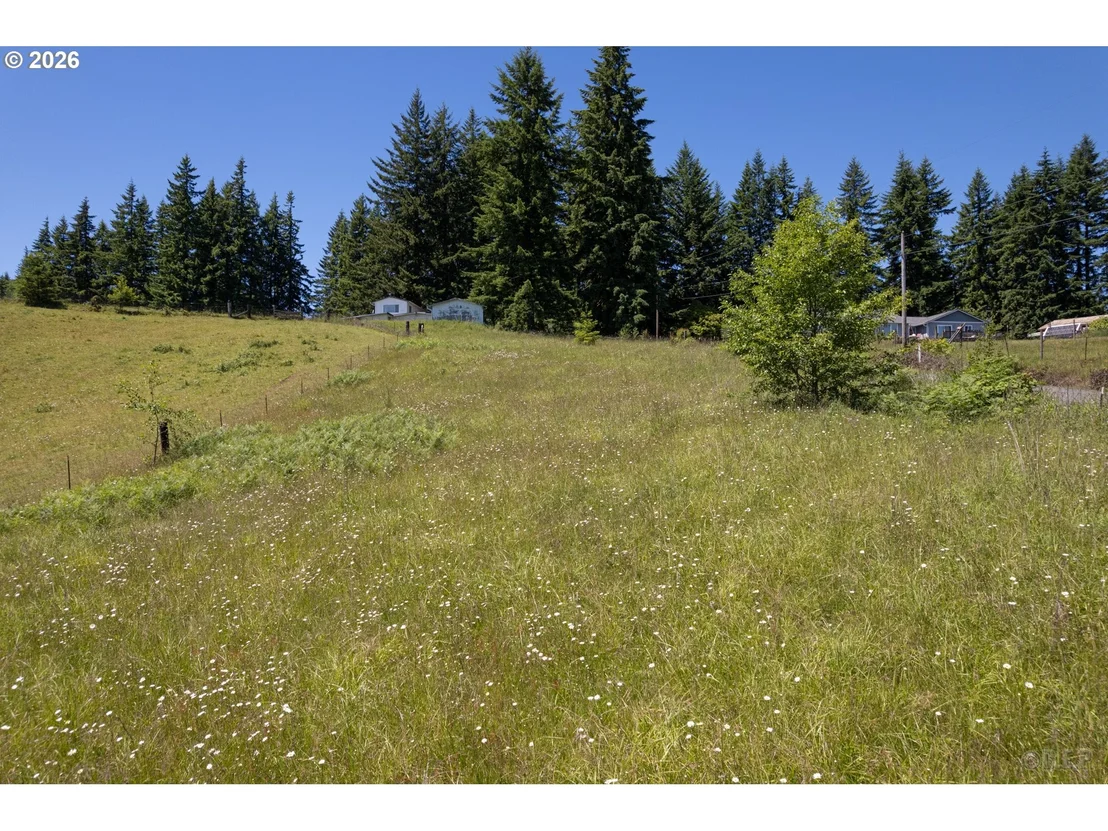 Photo of 27546 CLARK RD