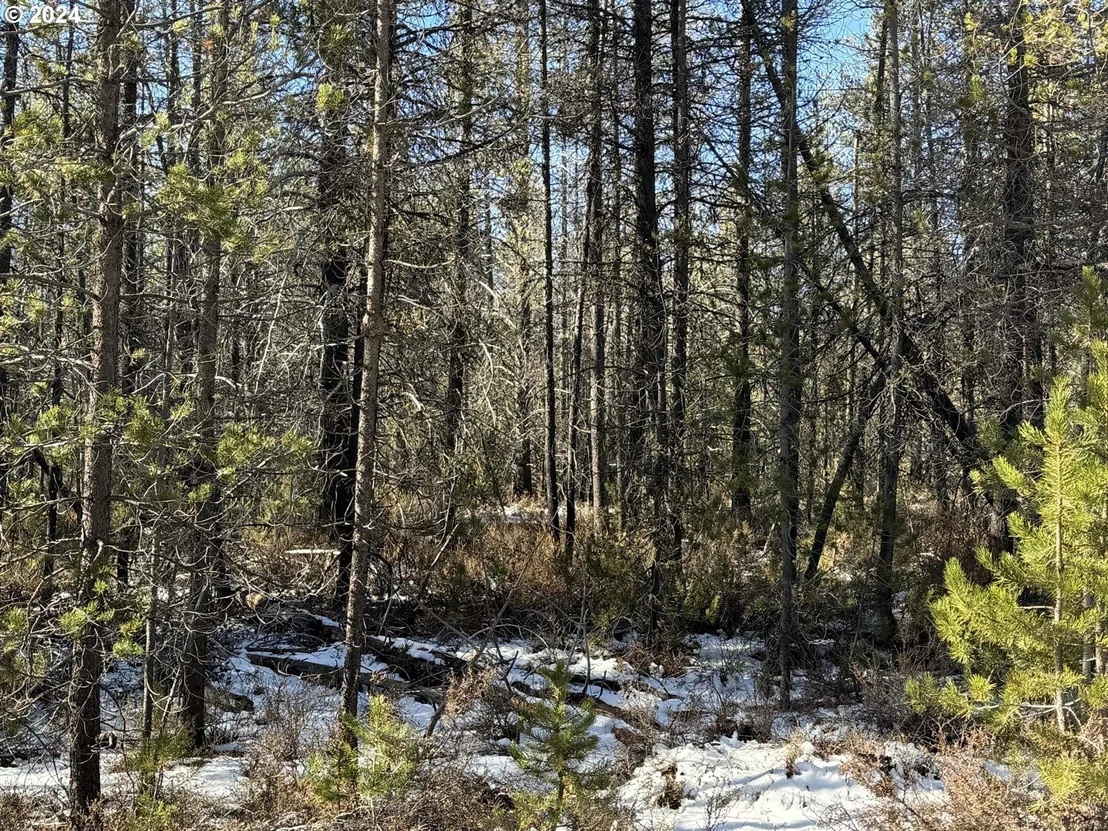 Photo of Unit LOT14 at Cloudcap DR