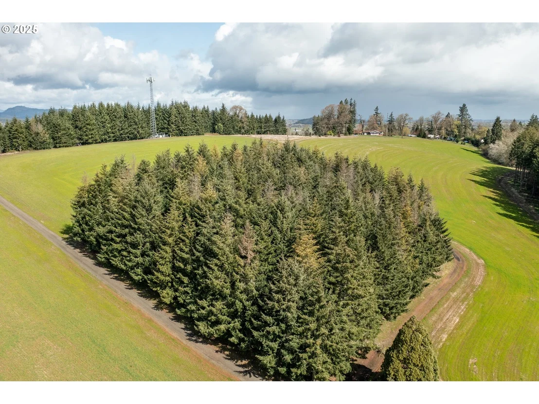 Photo of 92884 APPLEGATE
