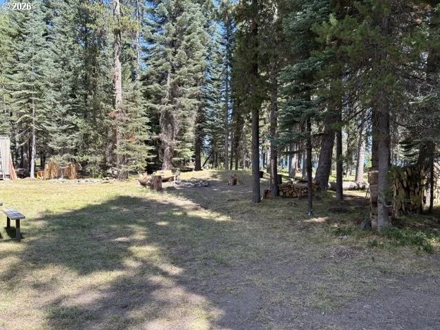 Photo of 97 DIAMOND LAKE LOOP
