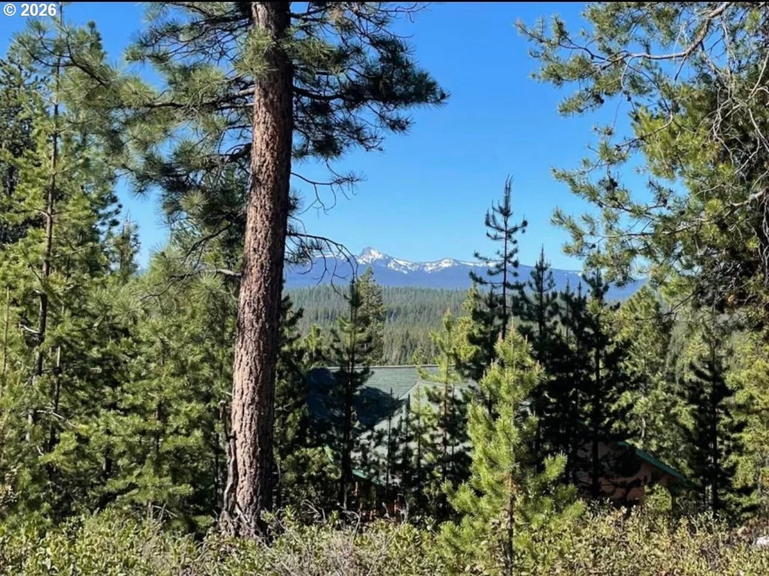 Photo of 18915 ALPINE BREEZE WAY
