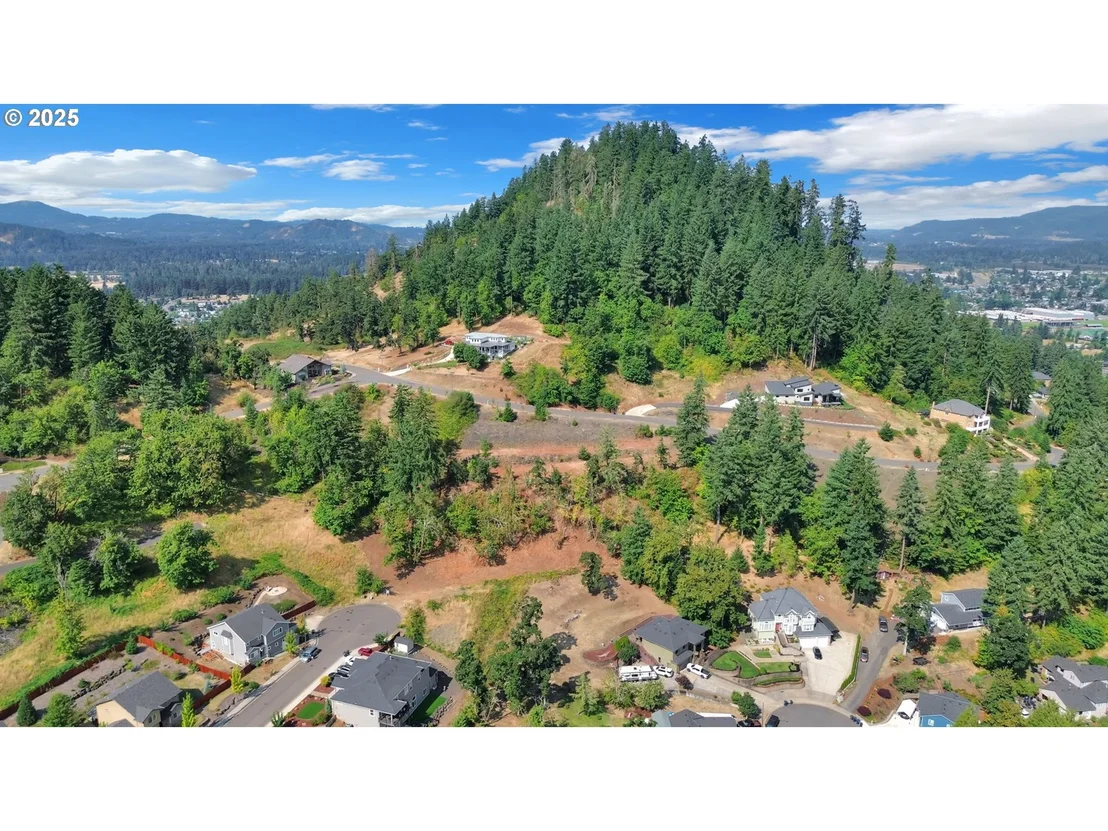 Photo of Forest Ridge