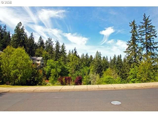 Photo of 0 Rockridge LOOP