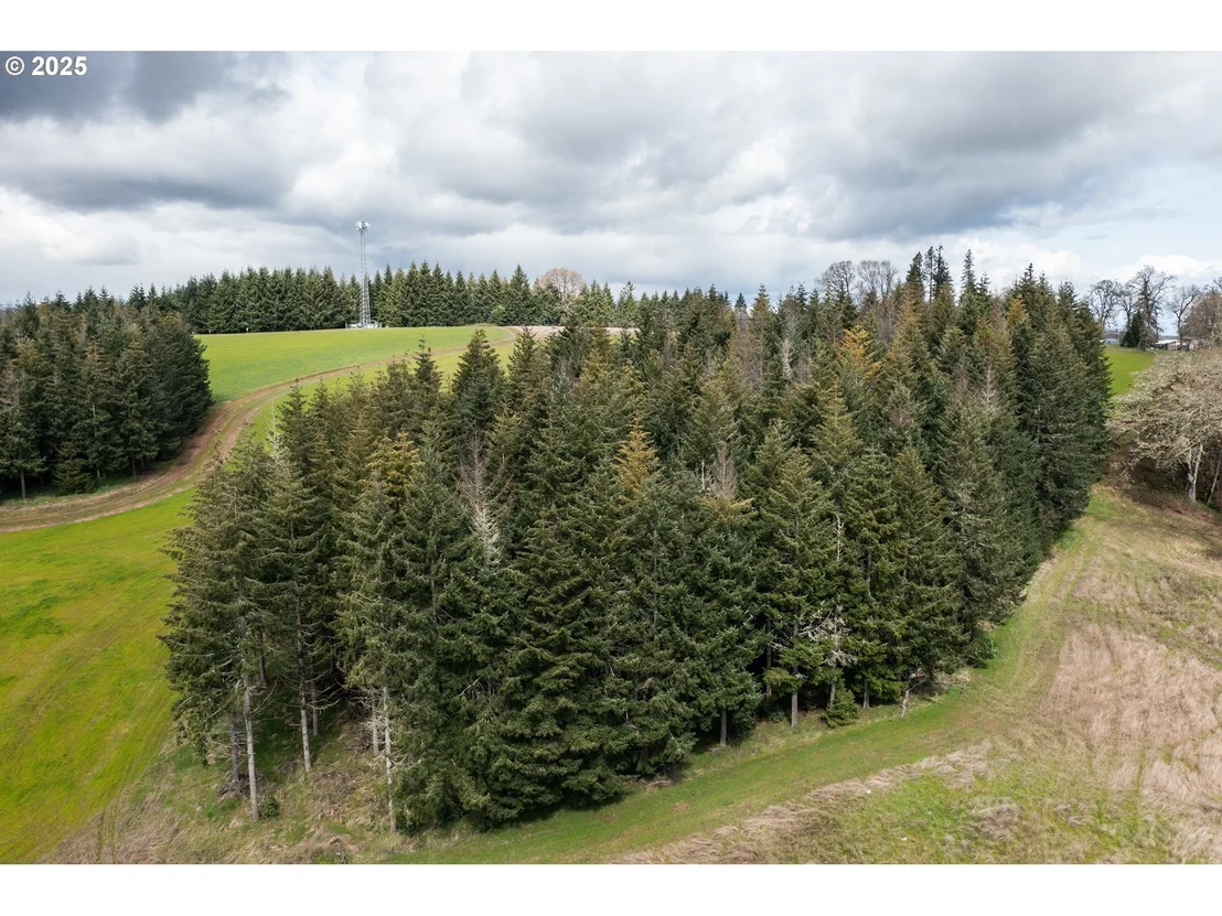 Photo of 92884 APPLEGATE
