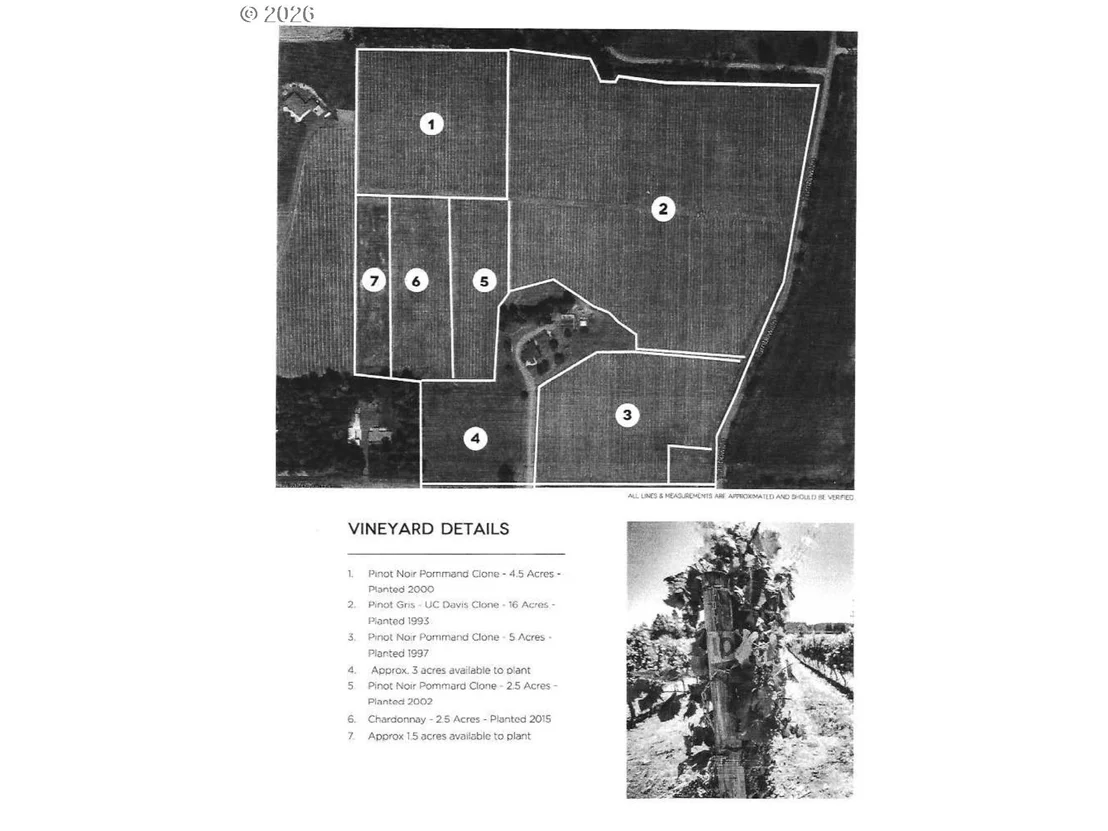 Photo of 25357 HIGH PASS RD