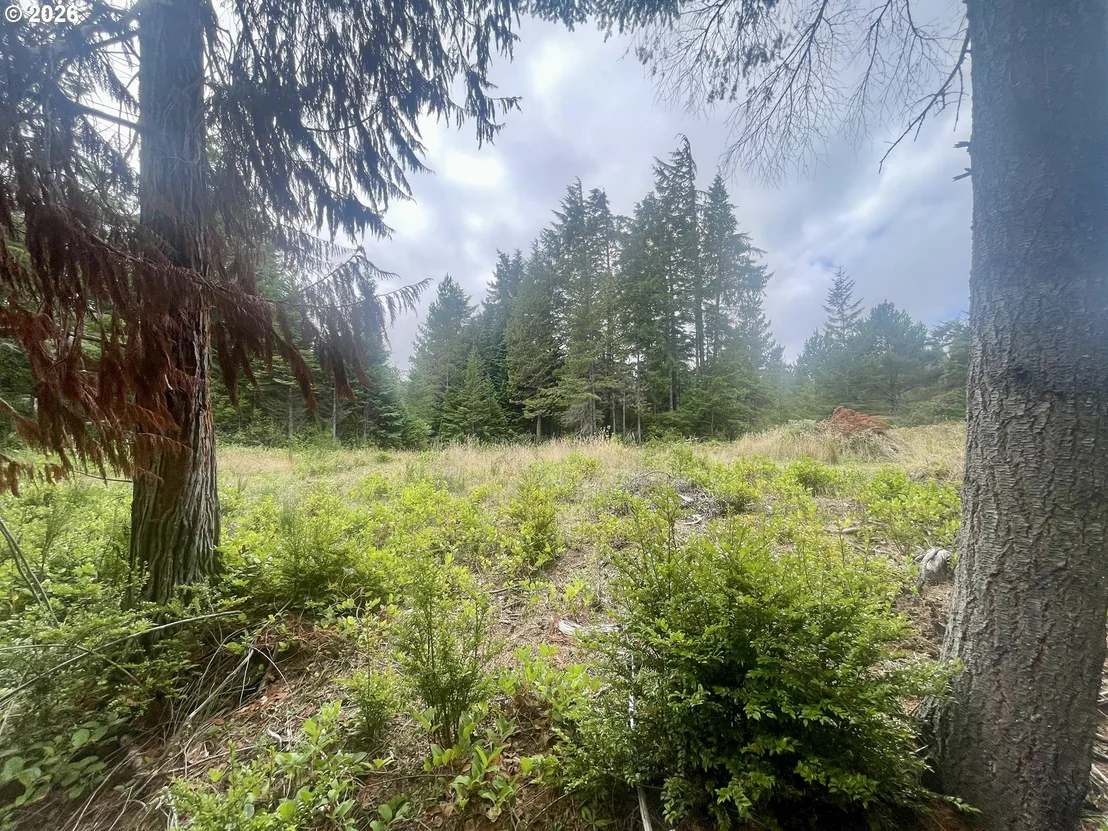 Photo of Unit LOT11 at Sandpoint RD