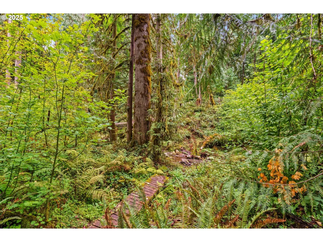Photo of 40153 BOOTH KELLY RD