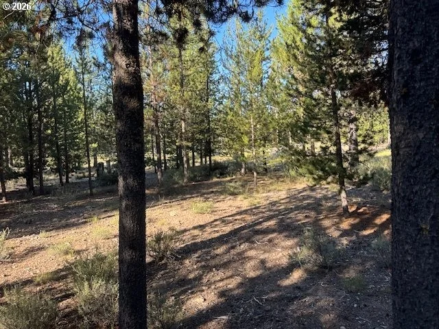 Photo of Unit 100 at Bear Flat RD