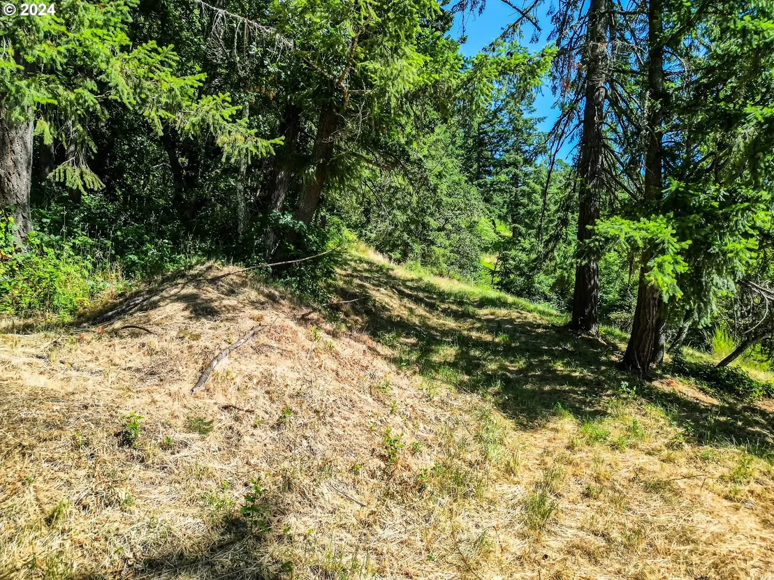Photo of E 38TH AVE