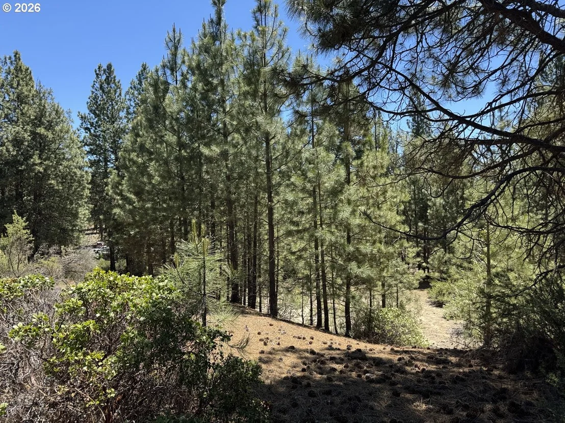 Photo of Unit 12 at Friendship DR