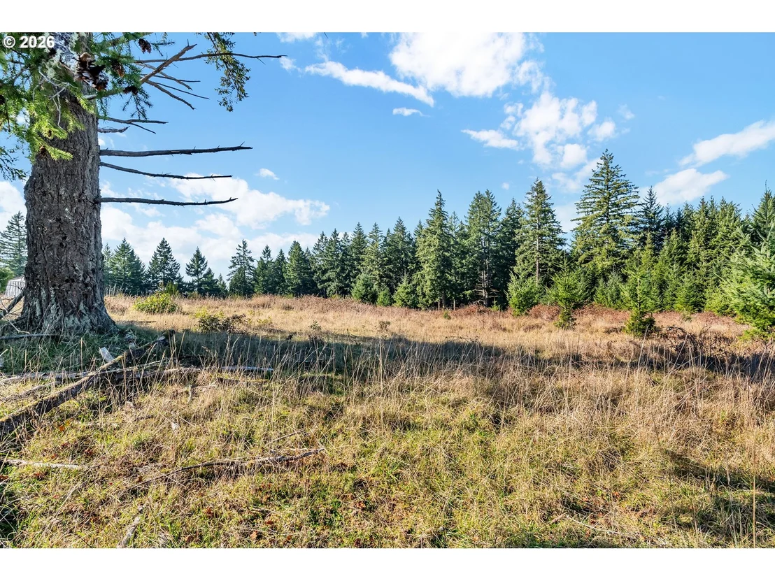 Photo of 88901 MCKENZIE ACRES DR
