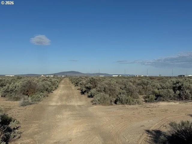 Photo of Unit 3000 at Bark Loop
