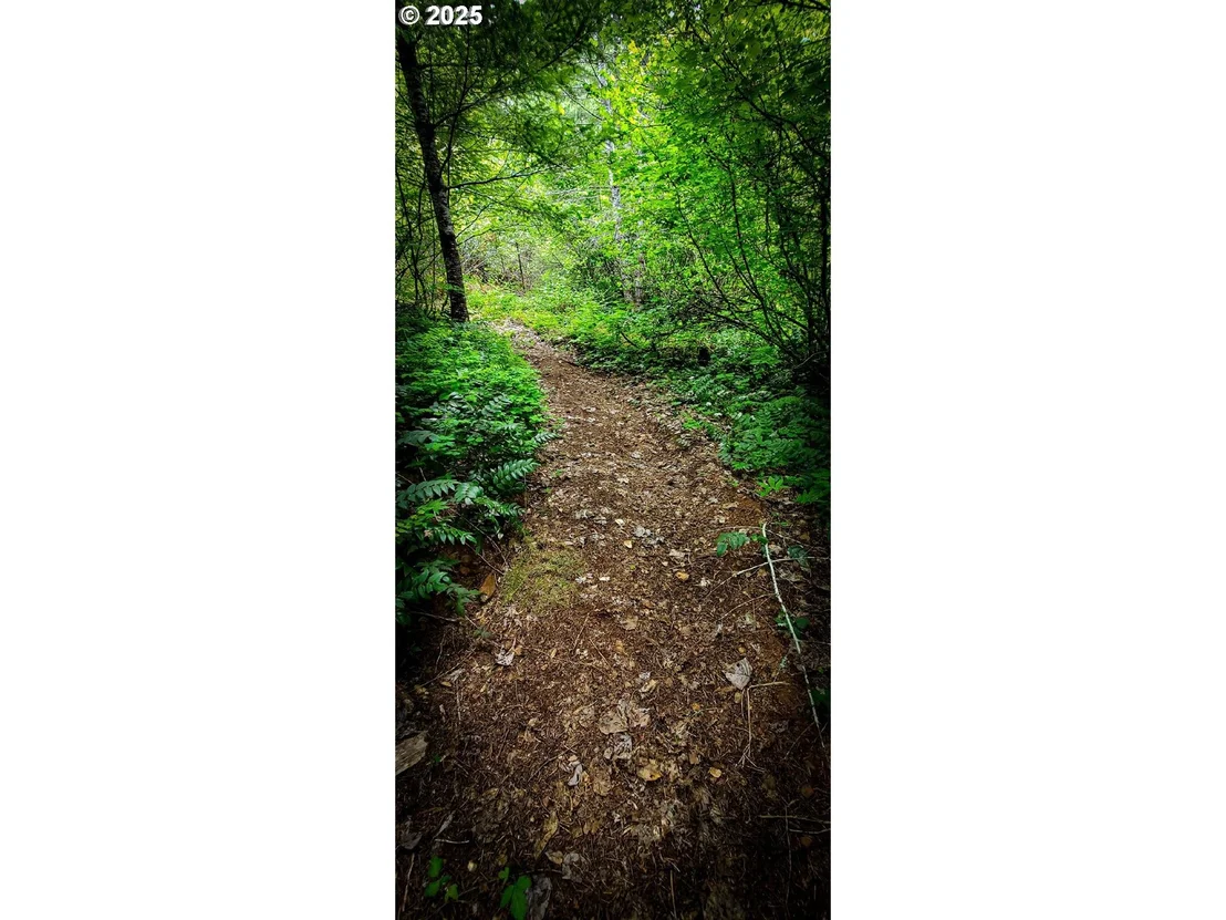 Photo of 49220 MOUNTAIN VIEW RD