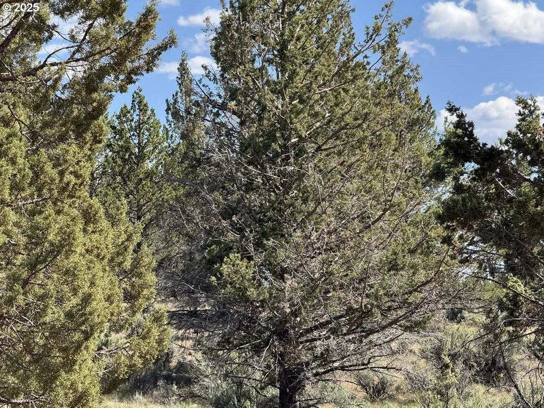 Photo of Unit 300 at HWY 140