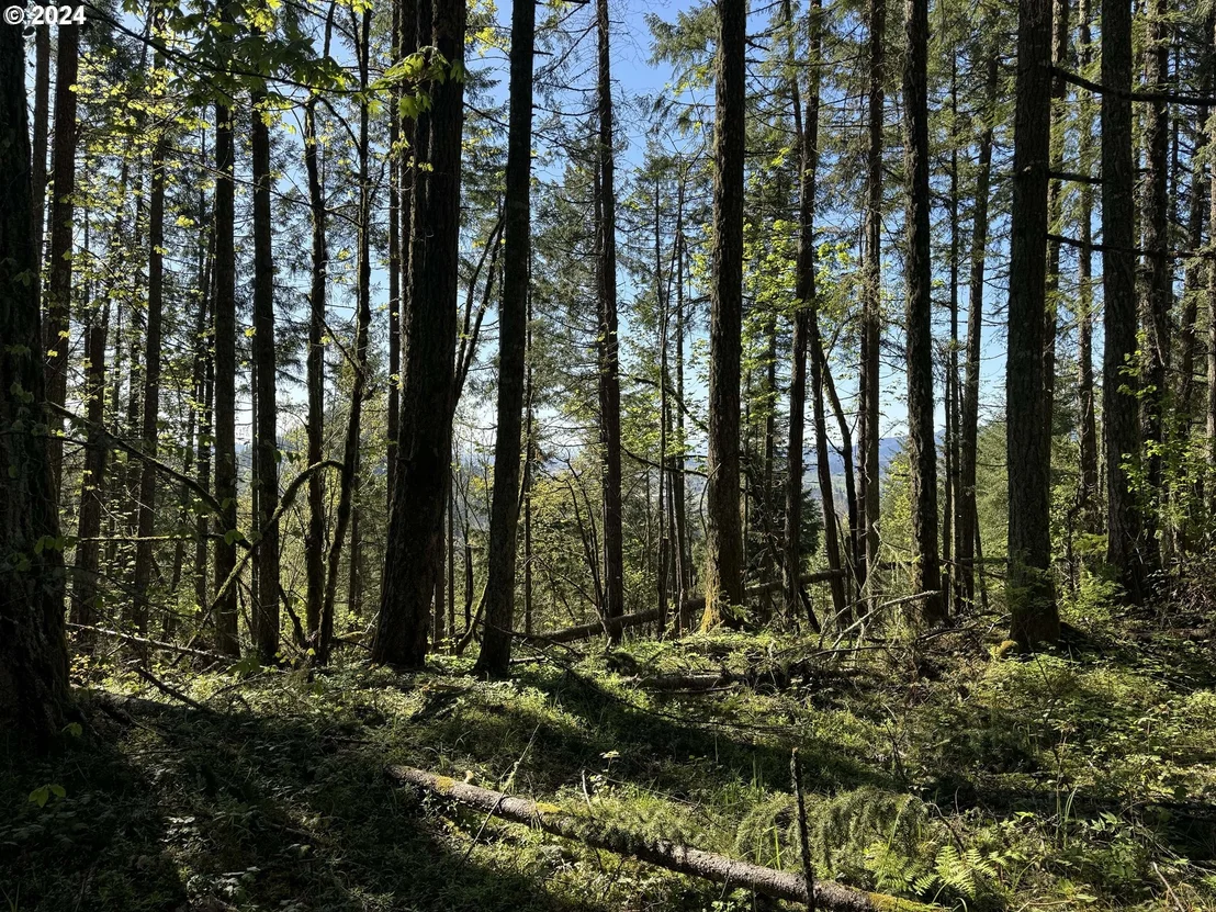 Photo of S 73rd AVE