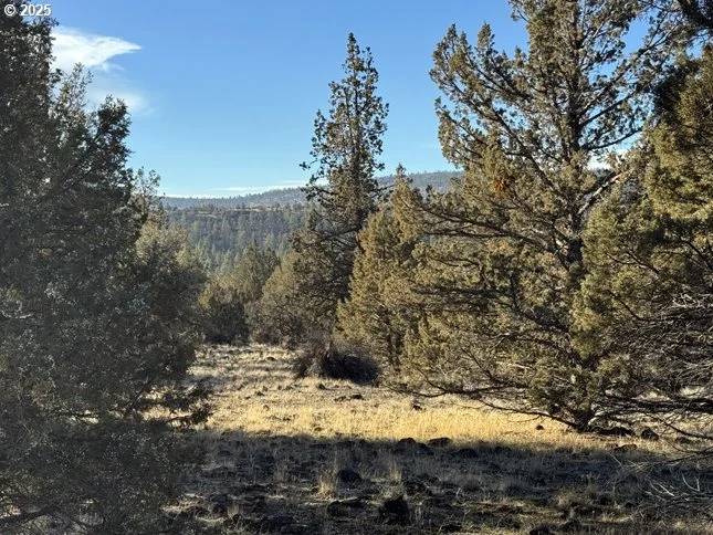 Photo of Unit 5 at Canvasback DR