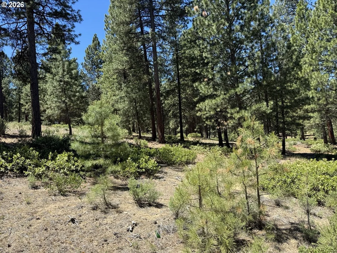 Photo of Unit 22 at Incline DR