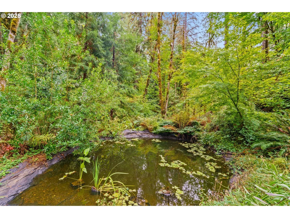 Photo of 40153 BOOTH KELLY RD