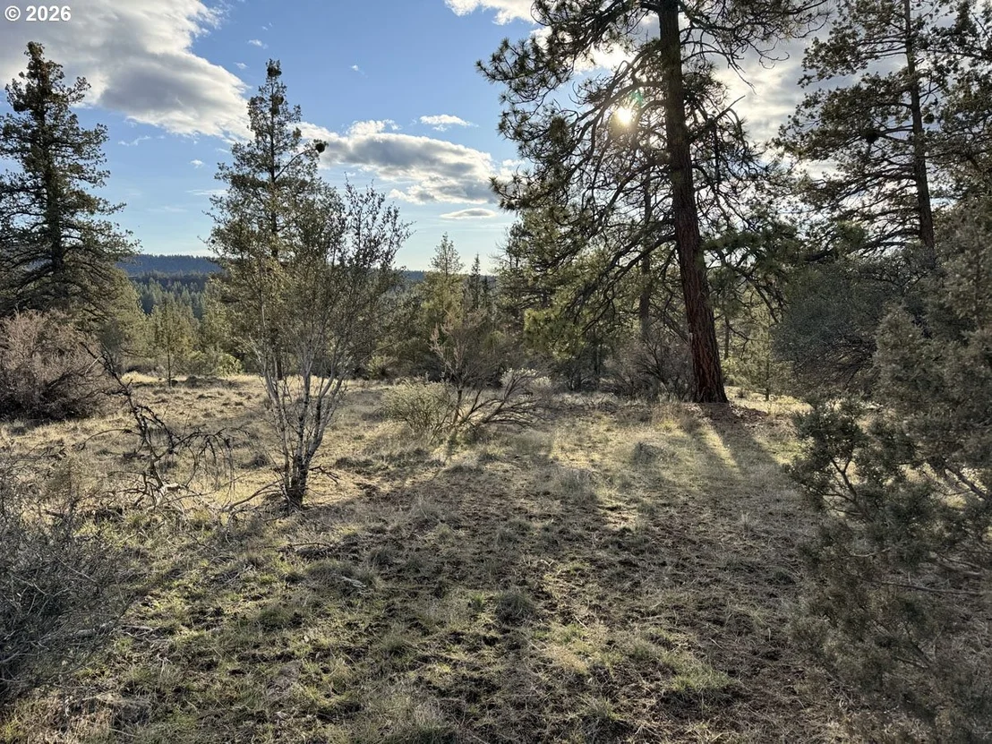 Photo of Unit 36 at Canvasback DR