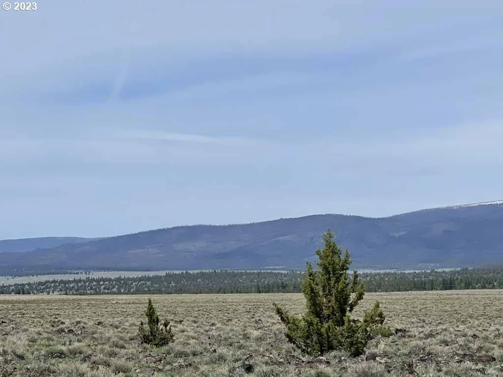 Photo of 8500 NF 379