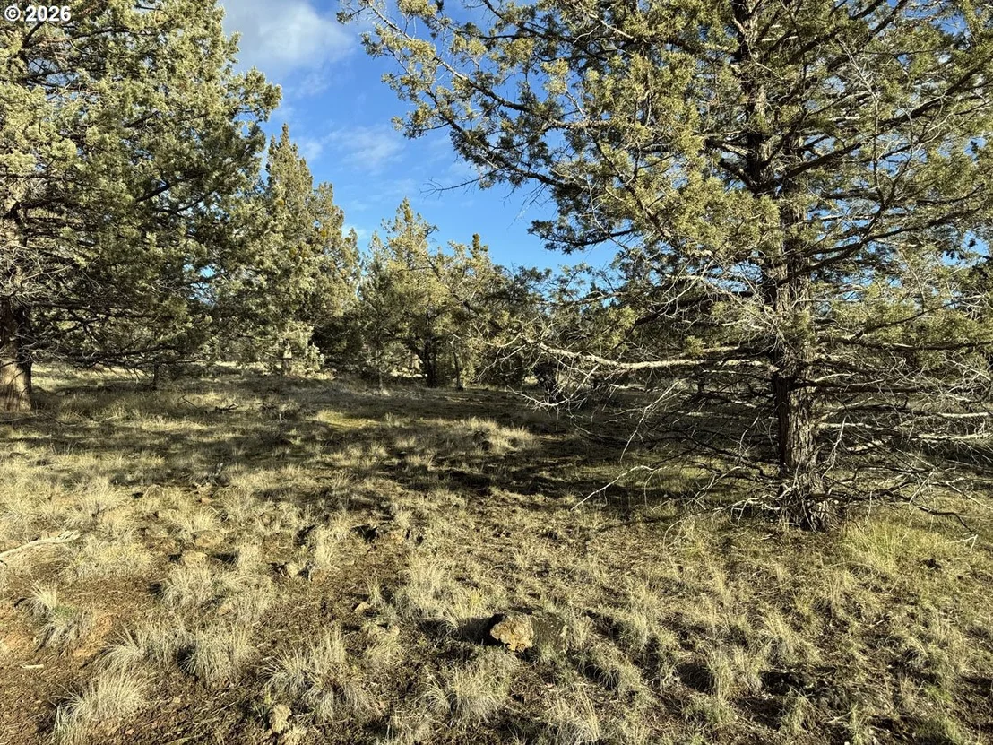 Photo of Unit 35 at Canvasback DR