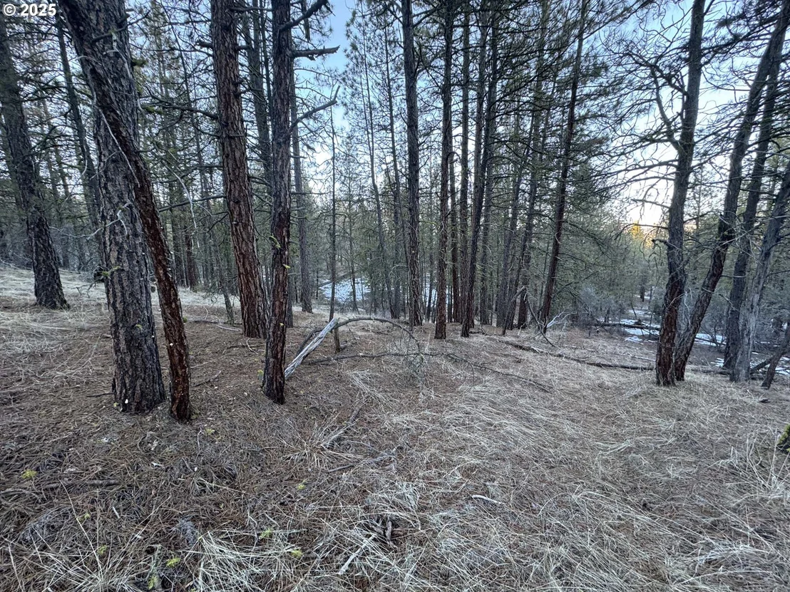 Photo of Unit LOT7 at Bobcat CIR