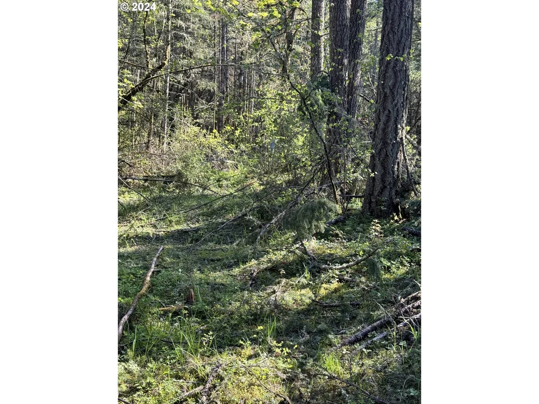 Photo of S 73rd AVE