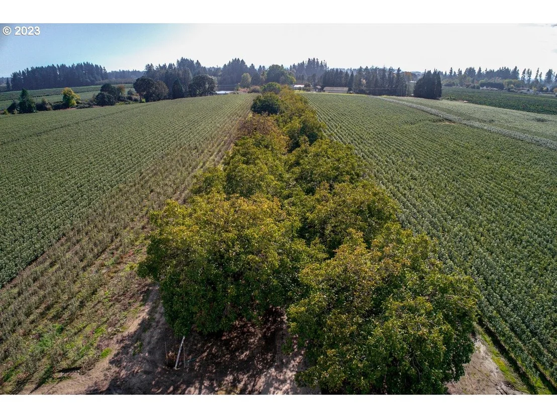 Photo of 13750 SE LOCKS LOOP RD