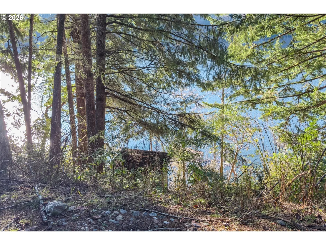 Photo of 72294 POTLATCH RD