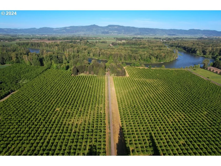 Photo of 93579 RIVER RD