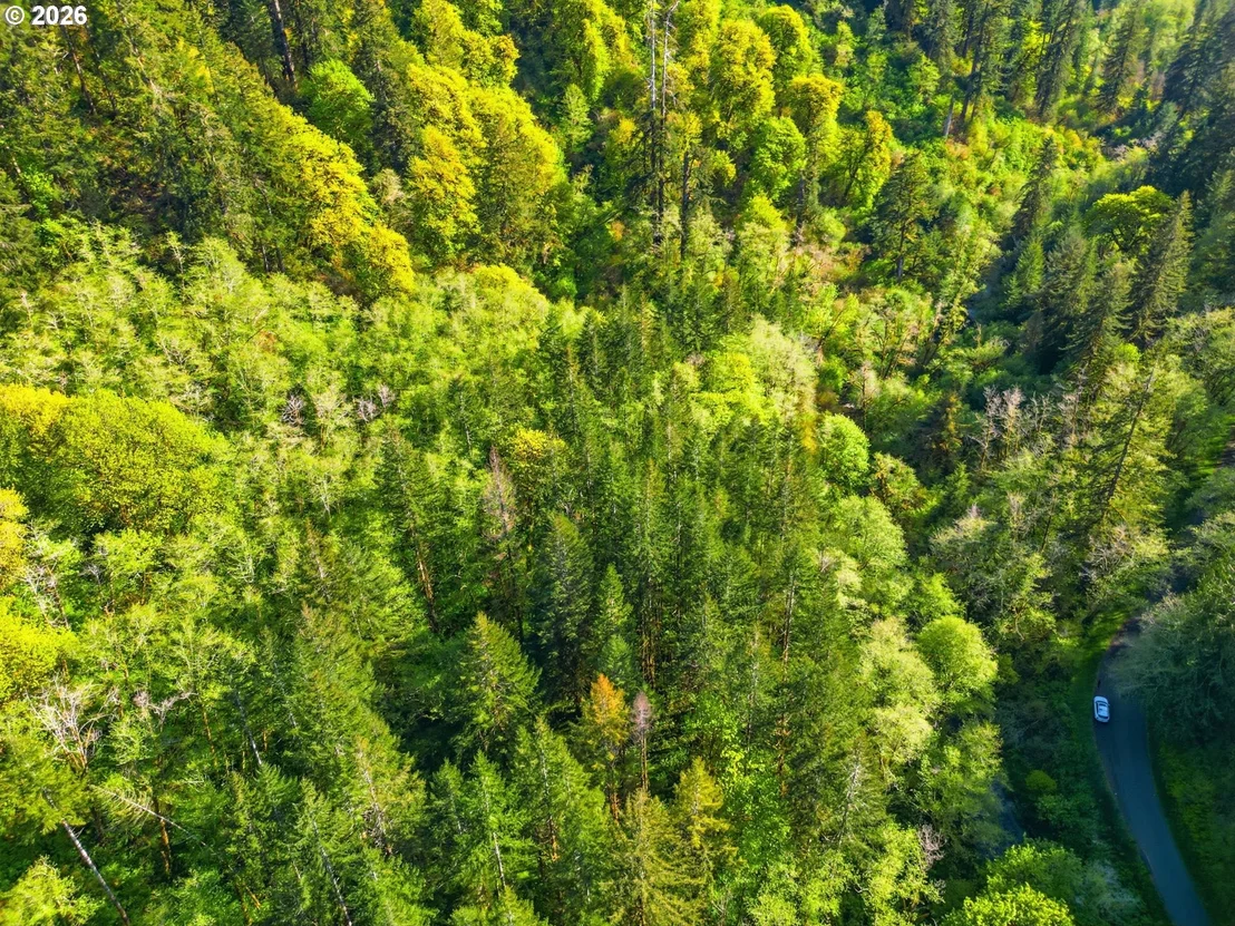 Photo of Upper North Fork RD