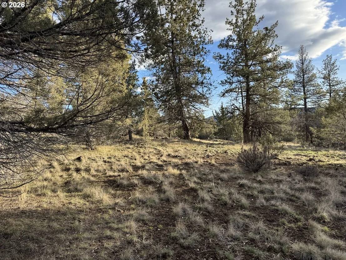 Photo of Unit 36 at Canvasback DR